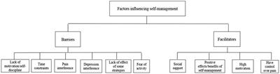 Perceived barriers, facilitators and usefulness of a psychoeducational intervention for individuals with chronic musculoskeletal pain and depression in primary care